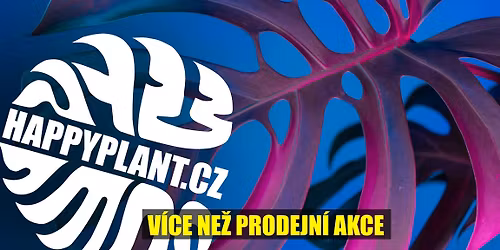 Mat\u011bj z HAPPYPLANT\ud83d\udd25 Exotick\u00e9 pokojovky \ud83c\udf3f PLZE\u0147