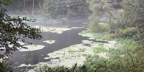 Deepening our Relationship with Mother Earth - Women's Circle