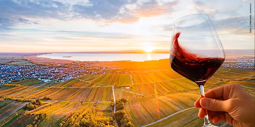 31. Weidener Martiniloben