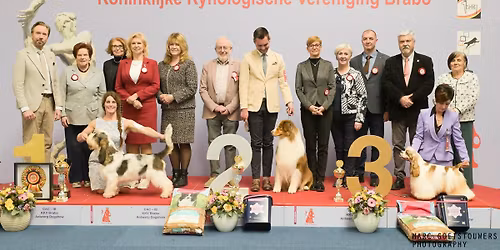 61ste Brabo Antwerp Dog Show