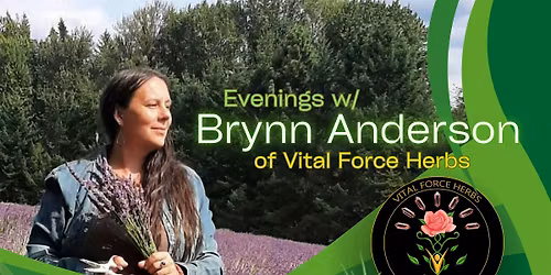 Perimenopause \/ Menopause Women's Group