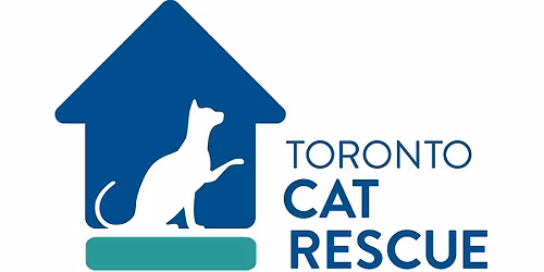 Toronto Cat Rescue Kitten Workshop
