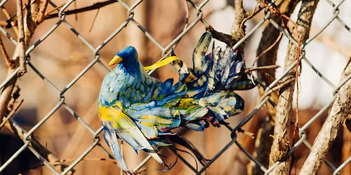 Bird Promenade Opening Walk