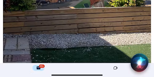 Seavy Street Park Cleanup