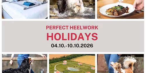 Neu: Perfect Heelwork Holidays-Ungarn!