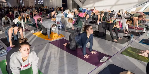 Ballet Floor Barre at MAM