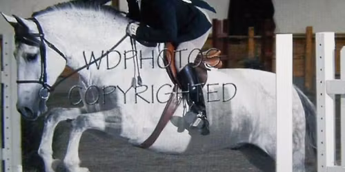  Angel Horses BENEFIT Horse Show MAY 9th  ** WESTERN CLASSES too!  