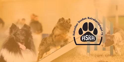 HSKH:n agilitykilpailut | Tammikisat 10.-11.1.2026