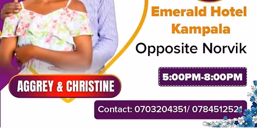 Wedding Launch meeting