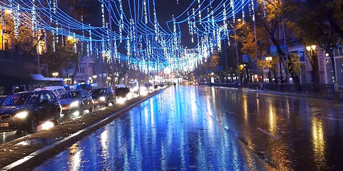 RECORRIDO GUIADO PARA VER LA ILUMINACI\u00d3N NAVIDE\u00d1A