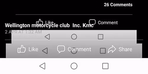 Wellington city trailride