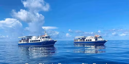 PANAMA CITY BOAT DIVE