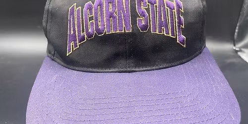 Florida State Seminoles vs. Alcorn State Braves