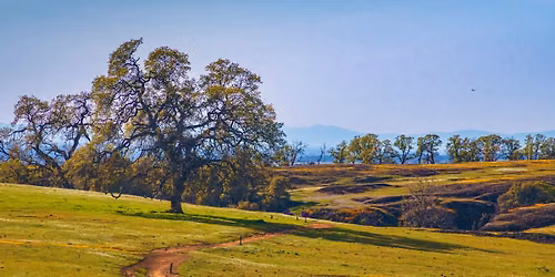 June Photo Meeting 