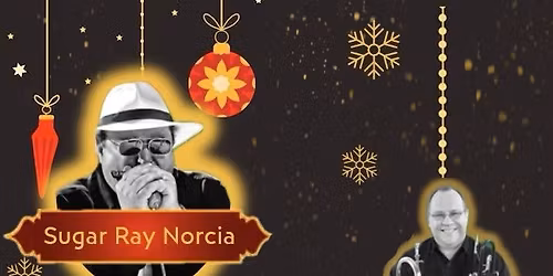 Holiday Party w Sugar Ray and Johnny Blue Horn!