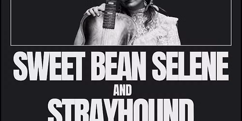 Sweet Bean Selene \/\/ Strayhound @ Marigold Brattleboro