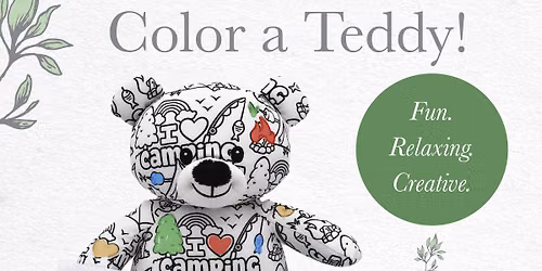 Color Your Own Plush Teddy Workshop