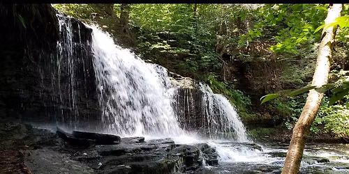 Magical forest photo shoot! \ud83e\ude84\ud83e\udd84\ud83e\uddda\u200d\u2640\ufe0f