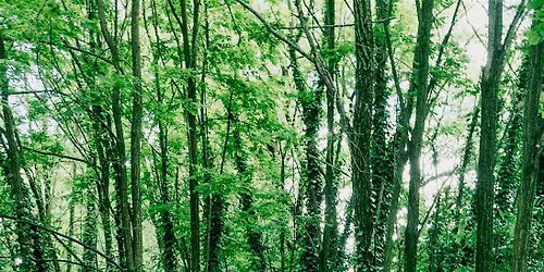 Oltre i confini del parco: ecologie urbane in dialogo