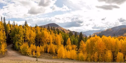 Jay Nokes at Frenzy Brewing Company