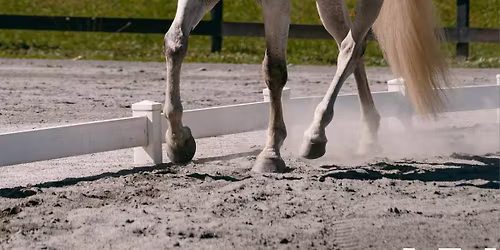 WE clinic - Megan Malan