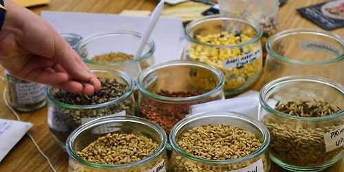 8th Annual Michiana Regional Seed Swap