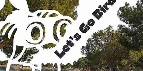 Bird Walk @ Apollo Park