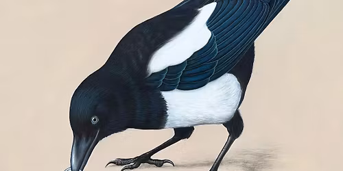 Juleudstilling i Gallery Hjorth