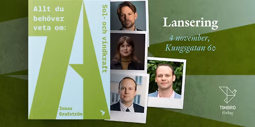 Allt du beh\u00f6ver veta om sol- och vindkraft