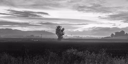 LIVE: Marc Miner @ Golden Harp 1150