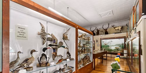 Free Museum Admission: September Sip+Shop