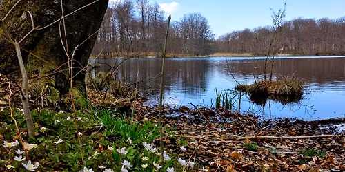 Bondedammen rundt. \u00c5rets Nyt\u00e5rsl\u00f8b er rundt om Bondedammen.