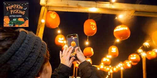 Pumpkin Picking After Dark