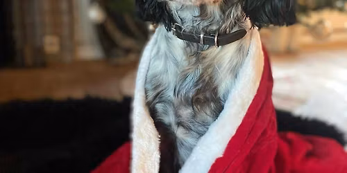 Julemiddag Vestfold Fuglehundklubb 2025