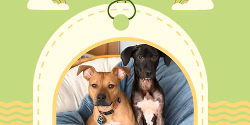 SIT STAY & SIP @ The Ridge \ud83d\udc15