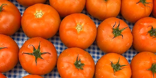 Parkchester Greenmarket