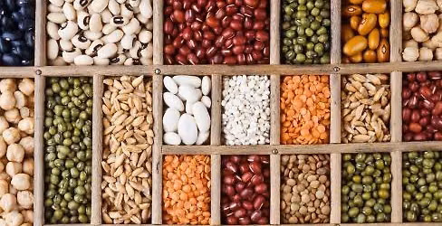 Seed Saving Workshop