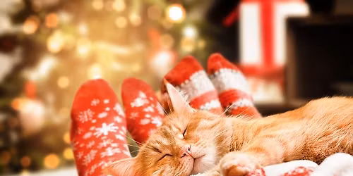 Great Torrington Christmas Fayre