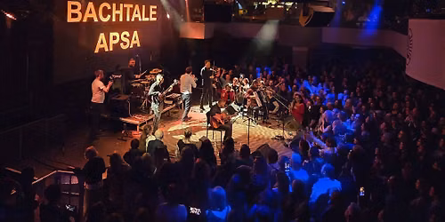 Bachtale Apsa gypsy party