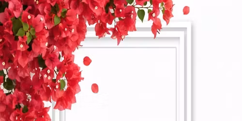 Bougainvillea Meet Up 2026