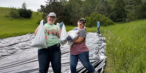 Garlic Mustard Removal Workday
