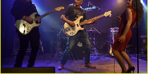 Muziekcaf\u00e9 het Warm Onthaal - Den Bosch 