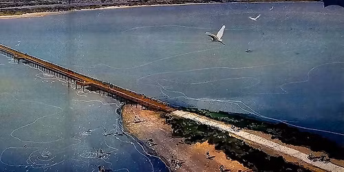 Flour Bluff Town Hall: Trestle Bridge Project