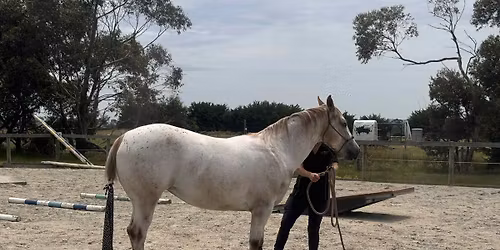 Trail pattern practice