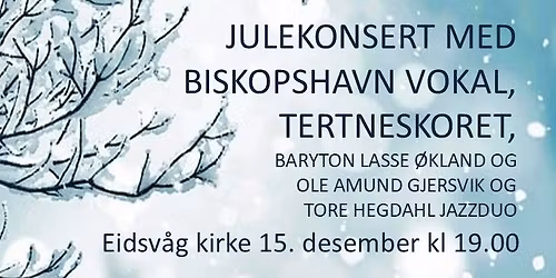 Julekonsert med Tertneskoret, Biskopshavn Vokal og gjester