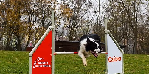 MINI dvojzkou\u0161ky - IX\/2025