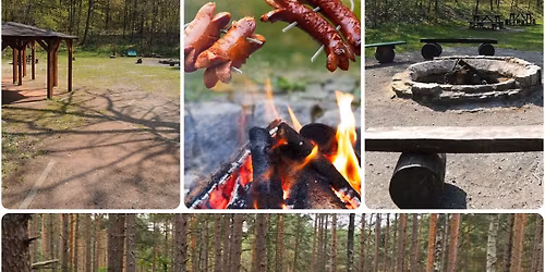 WITAJ WIOSNO ! czyli otwarty, towarzyski trening biegowy ze wsp\u00f3lnym ogniskiem \ud83c\udfc3\u200d\u2642\ufe0f\u26f0\ufe0f\ud83d\udd25\ud83c\udf24\ud83c\udf32