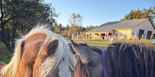 Harmony Horsemanship: Thoughts Matter