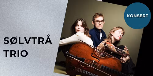 Konsert: S\u00f8lvtr\u00e5 Trio