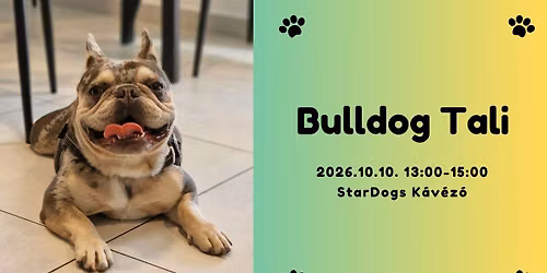 Bulldog tali a StarDogs-ban